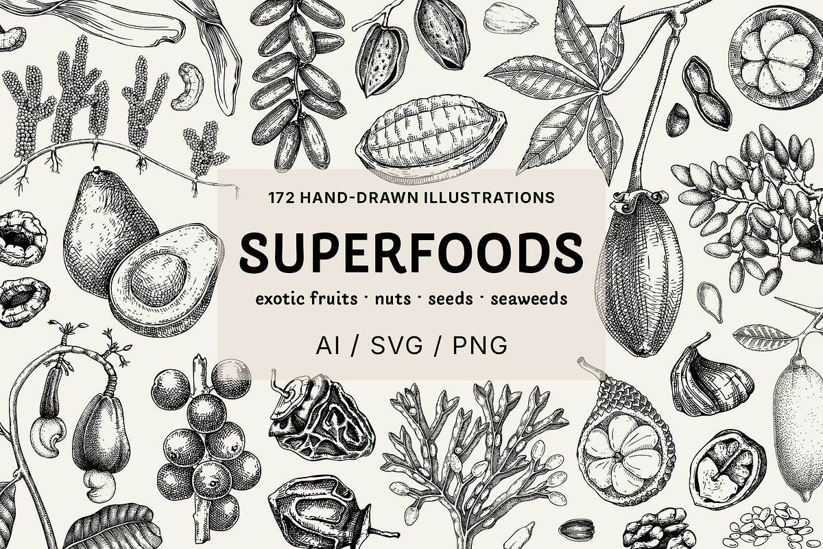 Superfoods: Fruit & Nuts Vector Set, a Food Illustration by Yevheniia (Photo 1 of 11)