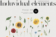 Watercolor Garden vol1, a Seasonal Illustration by LiChu Art (Thumbnail 7 of 12)