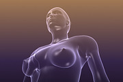 Male And Female Anatomy X-ray Bodies, a Characters & Person 3D Model by VisualCG (Thumbnail 15 of 15)