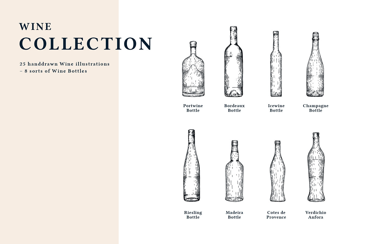 The Wine Collection, a Food Illustration by dicreate (Photo 2 of 12)