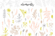 Herbalitica Vol.2 Flower Set, a Healthcare Illustration by eclosque (Thumbnail 3 of 12)