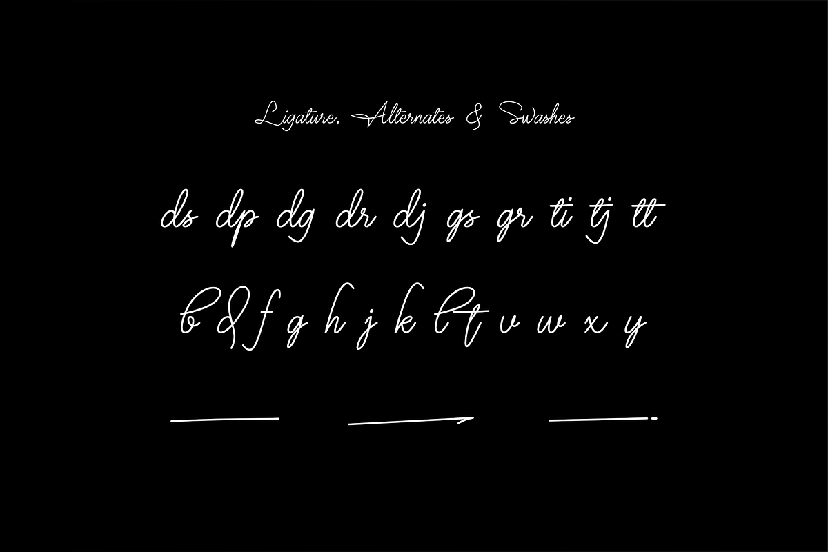 Mr Dj Signature Monoline Font, a Script Font by Attractype (Photo 7 of 8)