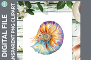 Marine Invertebrate Clipart, 25 PNG, an Animal Illustration by Enliven Designs (Thumbnail 4 of 8)