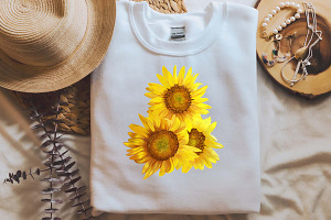 Summer Sunflowers Illustrations