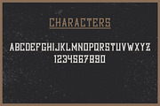 Bourbon Label typeface, a Script Font by VozzyStock (Thumbnail 2 of 6)
