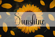 Background Signature, a Handwritten Font by InermediaSTUDIO (Thumbnail 4 of 8)