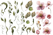 Berries & Flowers Watercolor Element, an Object Graphic by Knopazyzy (Thumbnail 3 of 3)