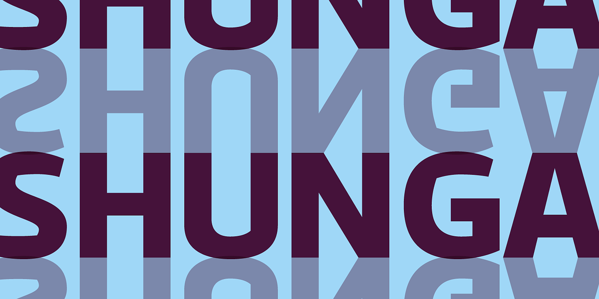 Antipod, a Sans Serif Font by Octotypo (Photo 6 of 7)