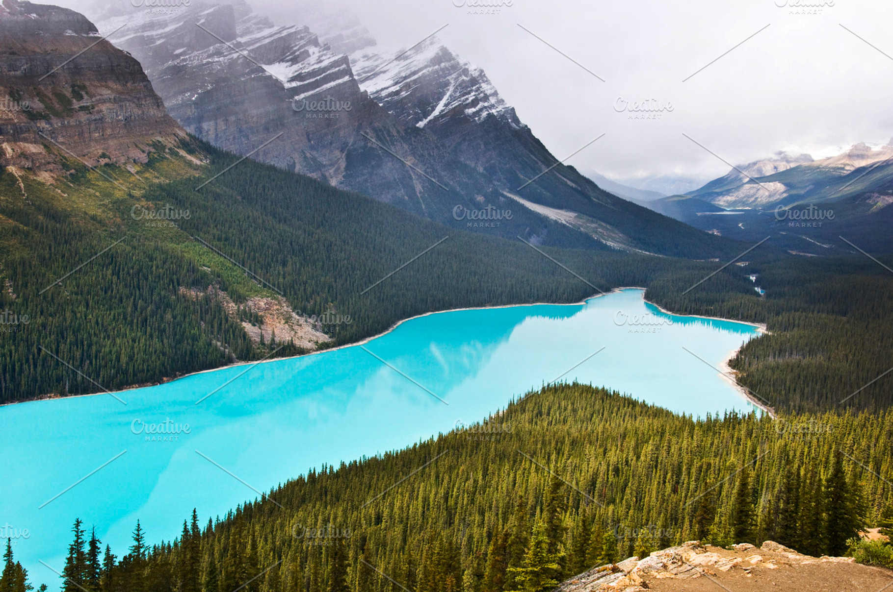 Peyto Lake Alberta