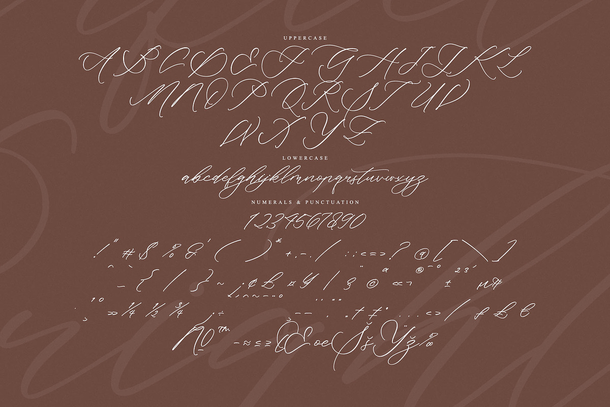 Starfield Brightens, a Script Font by operatype.co (Photo 7 of 15)
