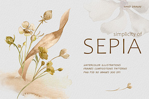 Dried flowers watercolor clipart