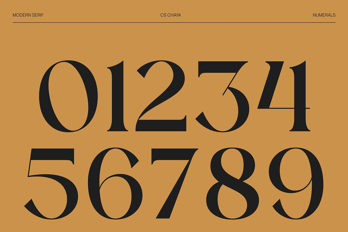 CS Chaya – Modern Serif Font, a Serif Font by Craft Supply Co. (Photo 5 of 8)