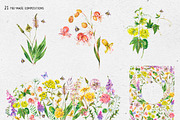 Watercolor meadow herbs&flowers, an Illustration by Depiano (Thumbnail 6 of 19)