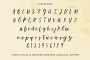 Flashing Script, a Handwritten Font by Beck McCormick (Thumbnail 10 of 10)