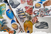 Coral Reef Watercolor Clipart, an Animal Illustration by Nastya Che (Thumbnail 4 of 14)