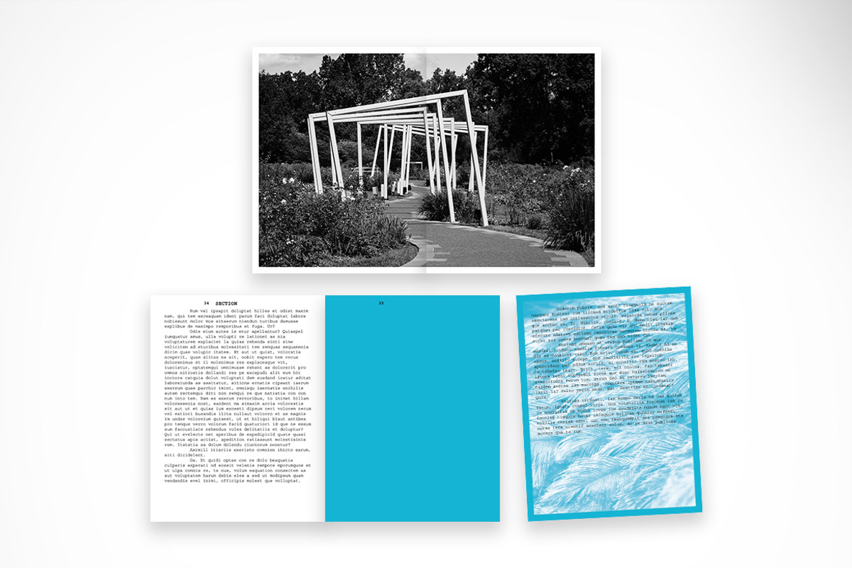 Modern Monochrome Brochure, a Brochure Template by McLittle Stock (Photo 3 of 4)