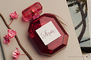 Palmeira Benvello Calligraphy, a Script Font by Denustudios (Thumbnail 8 of 12)