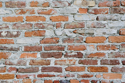 Peeling Bark preview 6