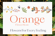 Qiona Elegant Modern Serif Font, a Serif Font by timelesstype.co (Thumbnail 3 of 20)