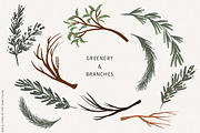 Sage Green Citrus Illustrations, an Object Illustration by Fire Spark Studio (Thumbnail 3 of 9)