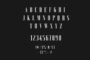 Tenzario | Elegant Serif Typeface, a Serif Font by Artdez (Thumbnail 4 of 5)