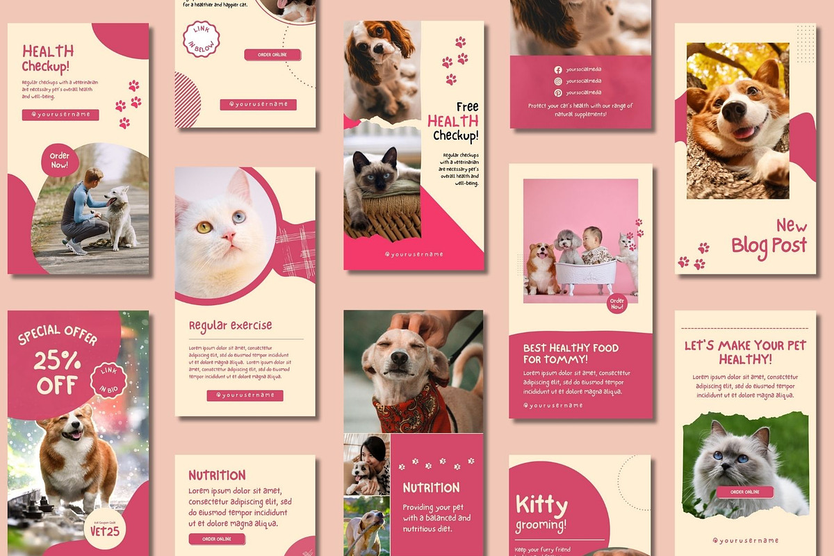 Pet Shop Story Canva Templates, a Templates & Theme by BoontenStudio (Photo 3 of 8)