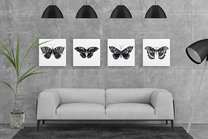 Butterfly Sketch Collection