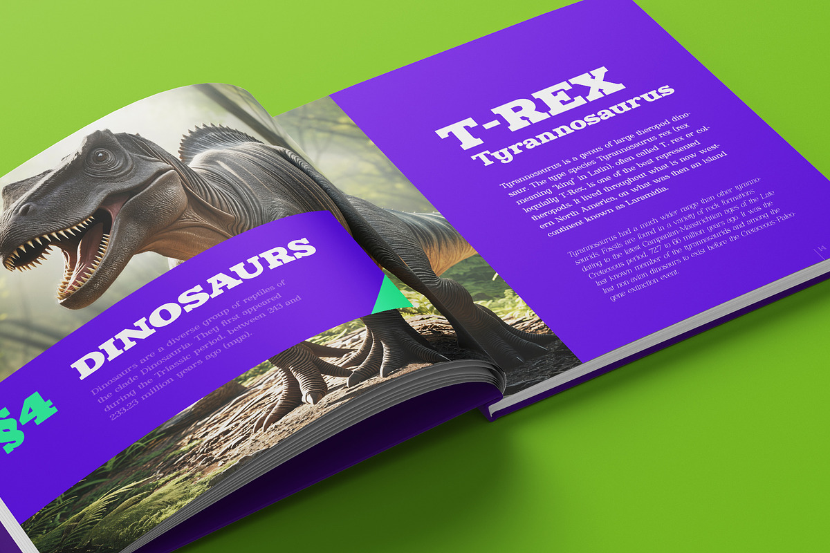 Ronald Gunfire Serif Font Family, a Slab Serif Font by Sentavio (Photo 8 of 12)