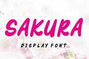 76 COLORFUL FONT BUNDLE, a Handwritten Font by Fourteen Letter (Thumbnail 25 of 77)