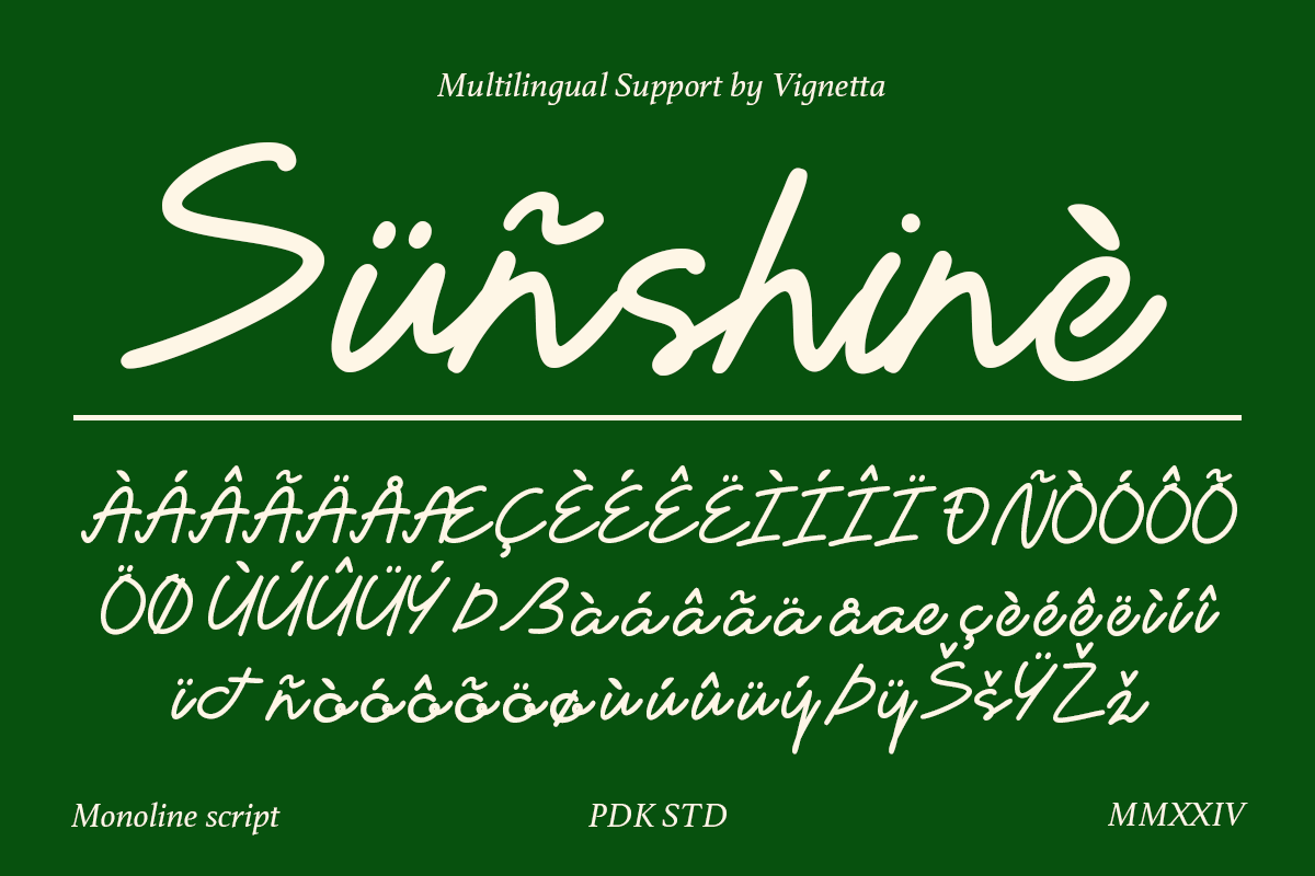 Vignetta - Casual Script Monoline, a Script Font by Pandeka Studio (Photo 8 of 9)
