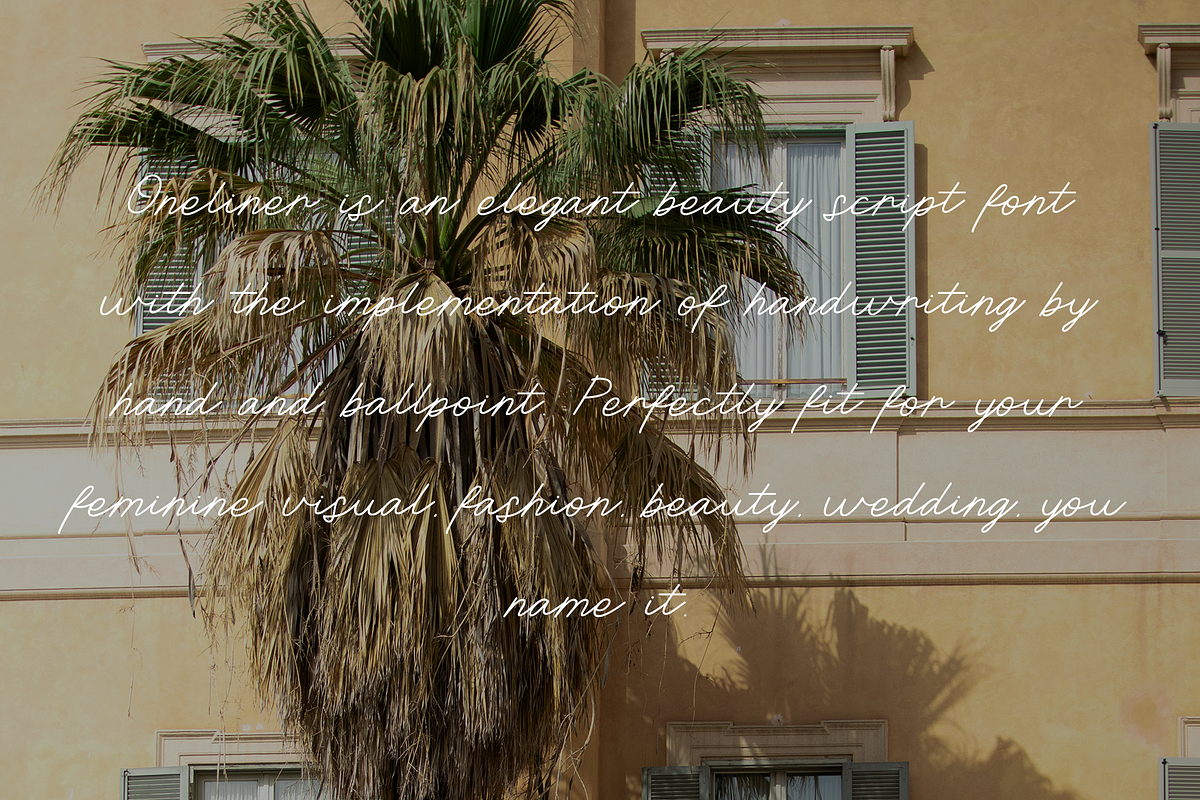 Oneliner - Ballpoint Script Fonts, a Script Font by Konstantine Studio (Photo 4 of 5)