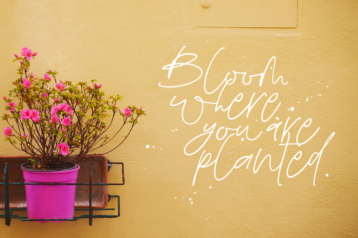 The Twenties |A Sweet Signature Font preview 2