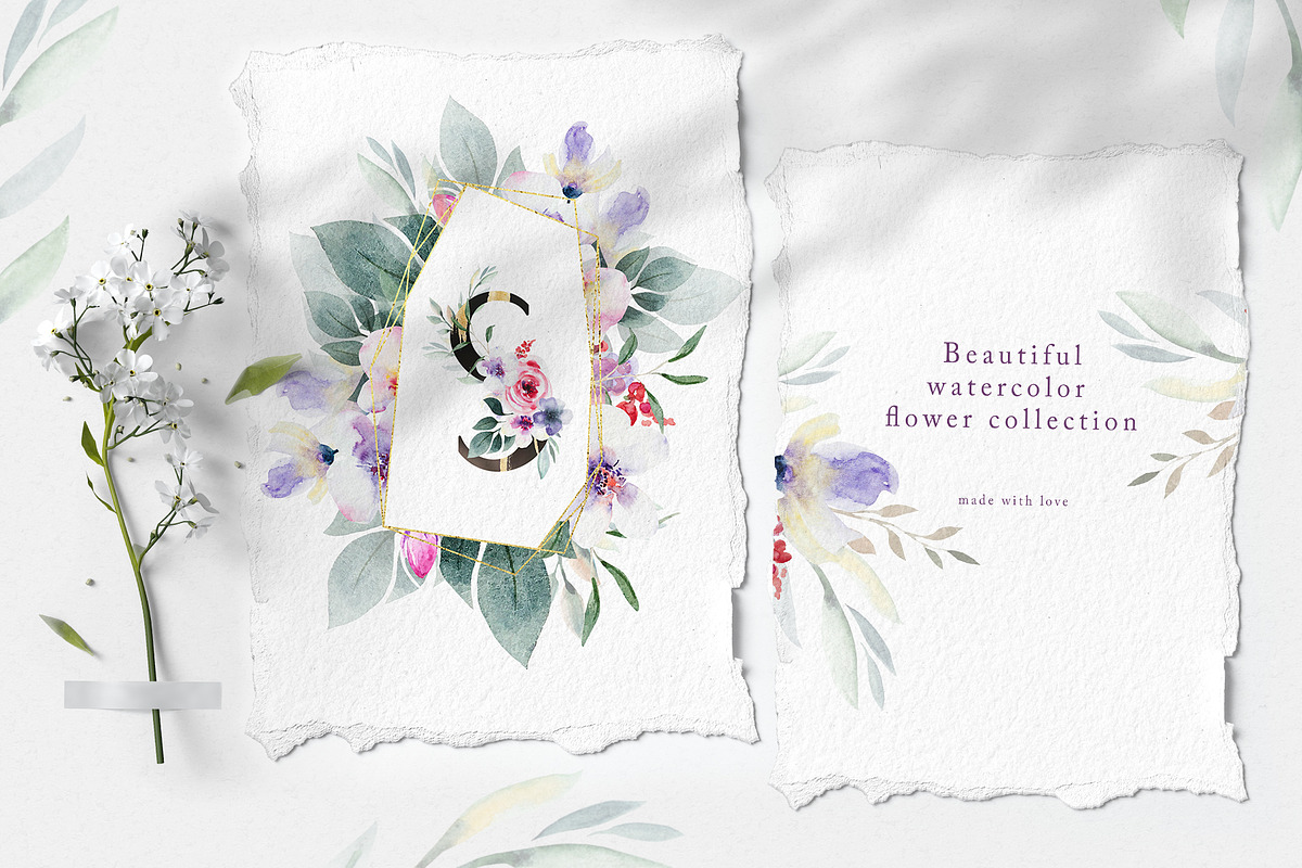 Watercolor floral collection, a Decorative Illustration by Vera●Suleimanova (Photo 17 of 18)