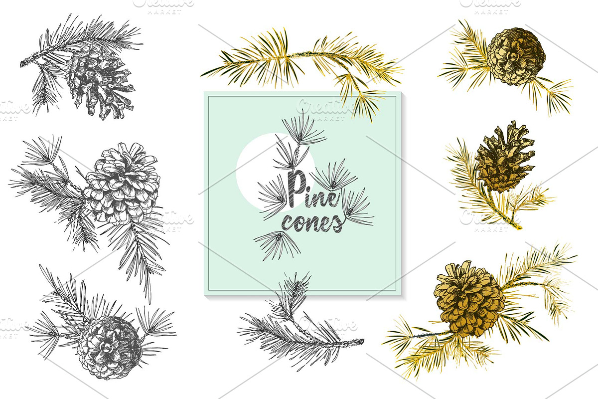 Hand drawn sketch fir with pinecone, a Decorative Illustration by Zimages (Photo 2 of 7)