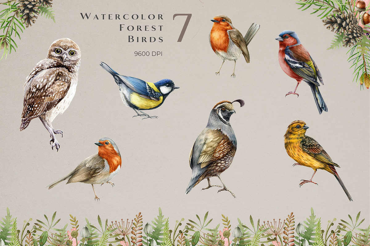 Forest Animals Watercolor Clipart, an Animal Illustration by AnitaPol (Photo 3 of 19)