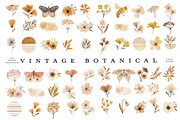 Watercolor Vintage Botanical Clipart, an Illustration by beatriceviyiwi (Thumbnail 2 of 6)