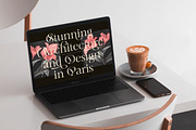 Mevara - Elegant Serif with Flourish, a Serif Font by Glyphofik x GudPap (Thumbnail 12 of 15)