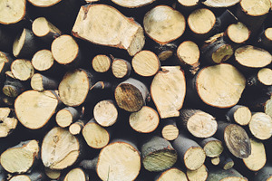 Wood stock photo