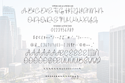 Santiago | Script Font, a Handwritten Font by Scratchones (Thumbnail 7 of 9)