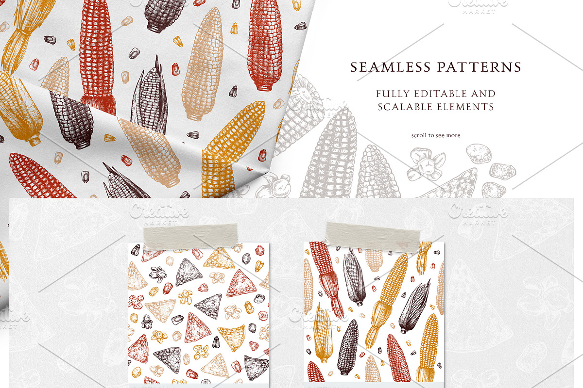 Sweet Corn. Vector Food Collection, a Food Illustration by Yevheniia (Photo 5 of 6)