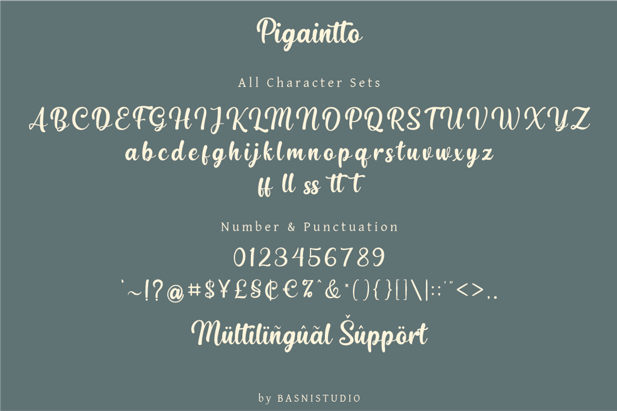 Pigaintto Handwritten Font, a Handwritten Font by Basnistudio (Photo 9 of 10)