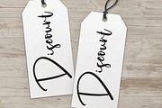 Calligraphy Signature | Script Font, a Script Font by Scratchones (Thumbnail 7 of 8)