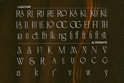 Velorum - Modern Elegant Luxury, a Serif Font by Qweera Studio (Thumbnail 10 of 12)