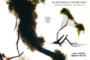 Botanical & Nature Collage Kit, an Object Graphic by Purple (Thumbnail 3 of 11)