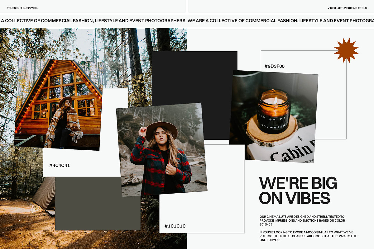 Cozy Cabin - Video LUTs, a Brushes & More by Truesight Supply Co. (Photo 2 of 6)