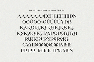 Erigo - Modern Serif Font