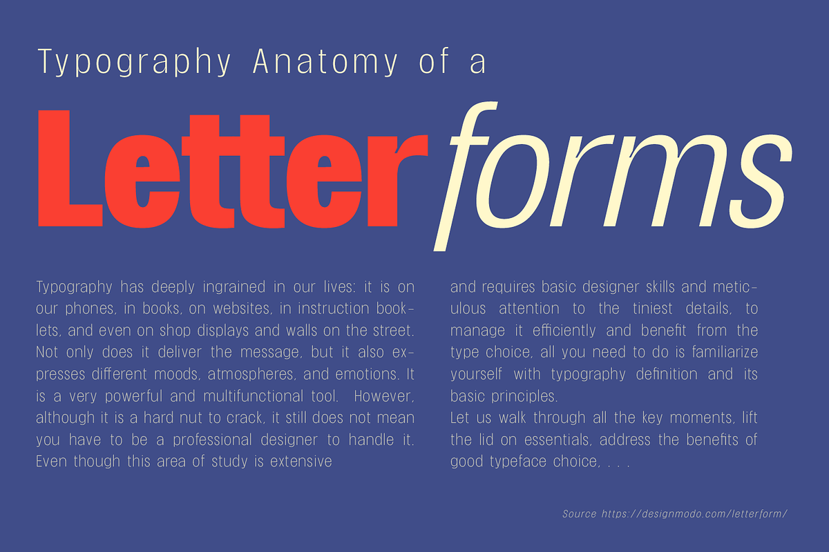 Nabire 1943 Sans Family, a Sans Serif Font by xdCreative (Photo 8 of 13)