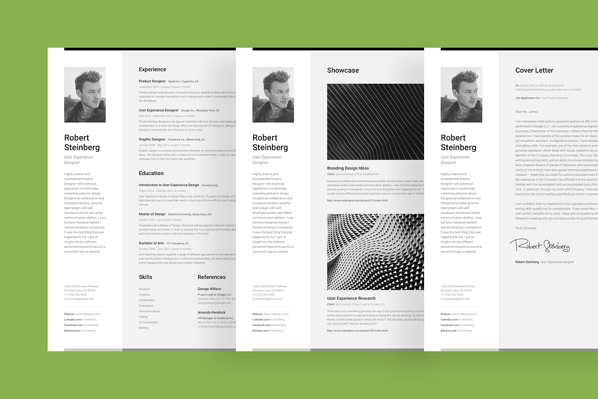 Big Set of Professional Resumes 1, a Resume Template by DEFNST (Photo 12 of 14)