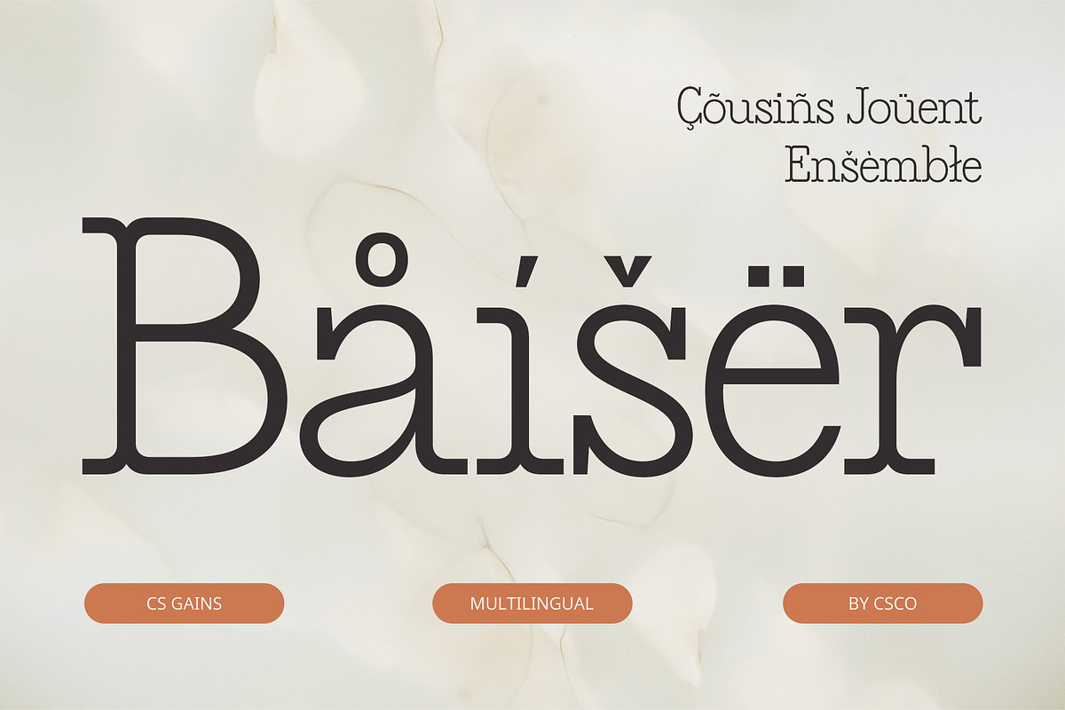 CS Gains – Classic Font, a Serif Font by Craft Supply Co. (Photo 4 of 8)
