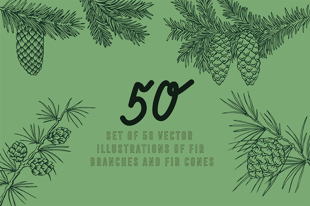 Vector fir branches, an Illustration by risovanya (Photo 1 of 4)